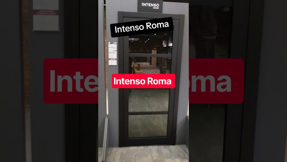 Drzwi Intenso Roma do wiatrołapu z pojedynczą szybą i konstrukcyjnymi szprosami